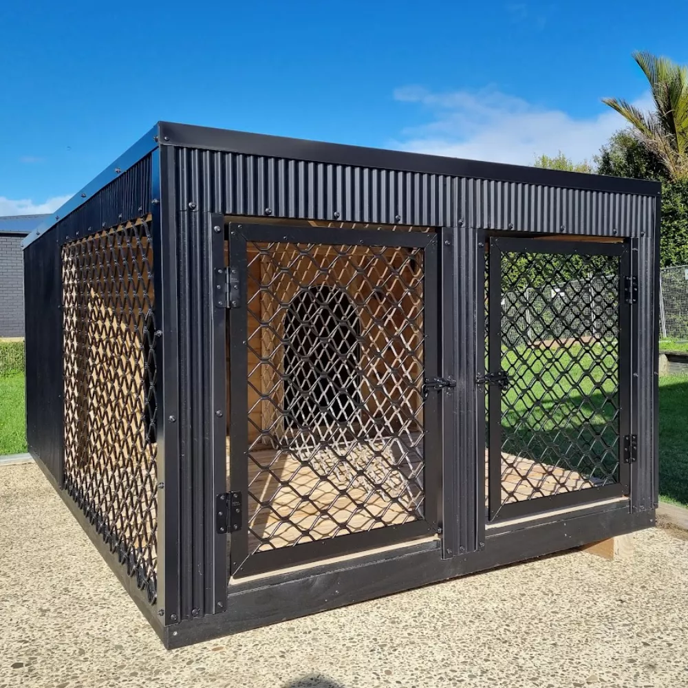 All Black -  Double Kennel
